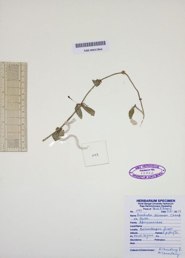 DocScanner 1 Dec 2025 3-33 pm